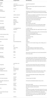 Welfare assessment of horses and mules used in recreational and muleteer work in the Colombian coffee region